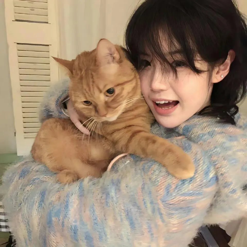 第四期计划